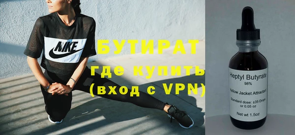 индика Алзамай
