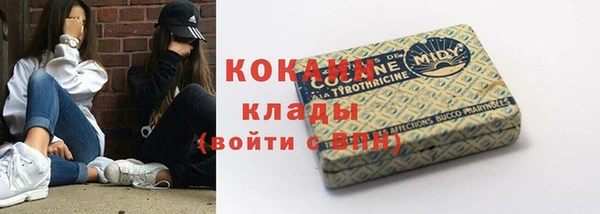 индика Алзамай