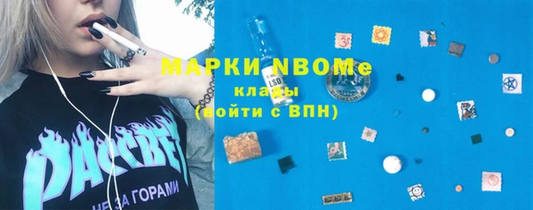 индика Алзамай