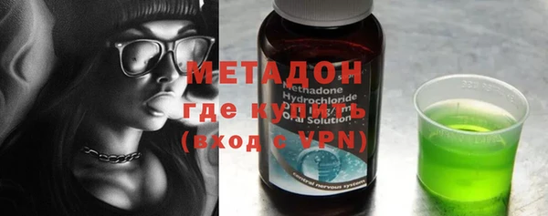 индика Алзамай
