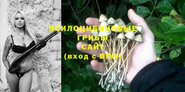 индика Алзамай