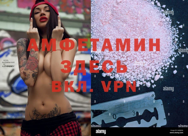 индика Алзамай