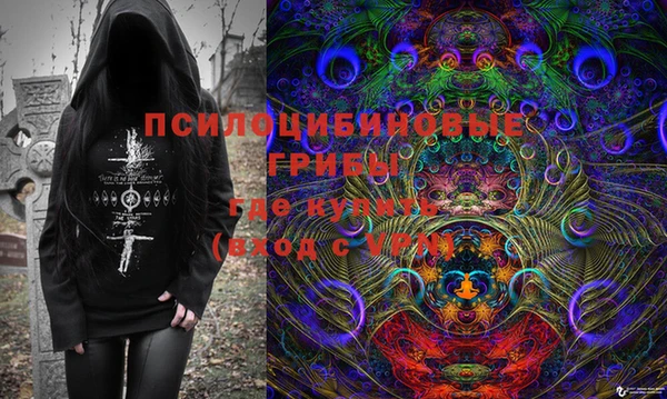 дмт Алексин