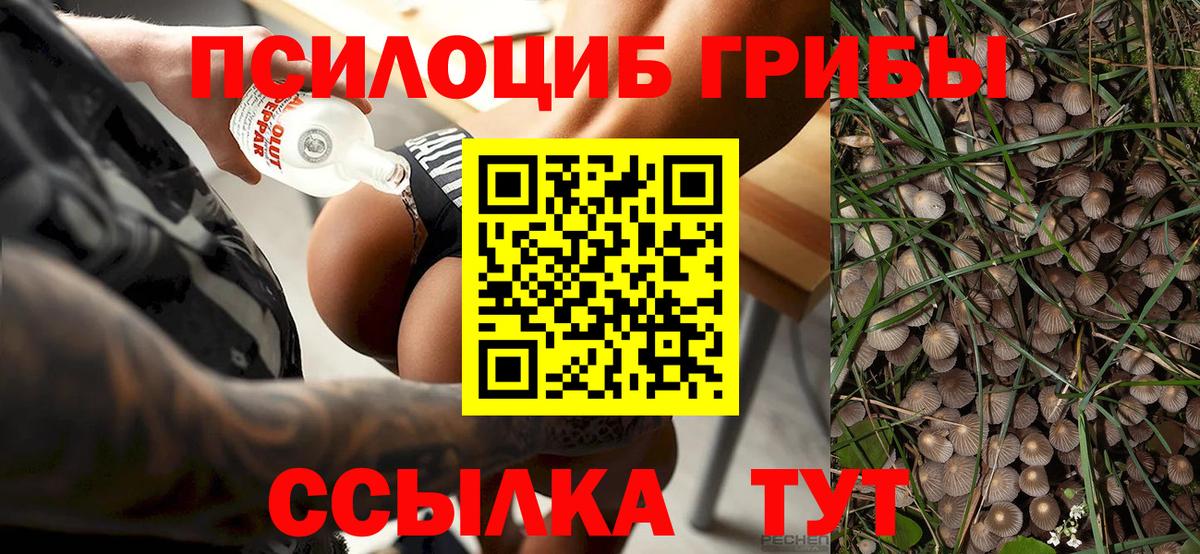 Галлюциногенные грибы мухоморы  Псилоцибиновые грибы Psilocybe  Вход с VPN  Первоуральск 