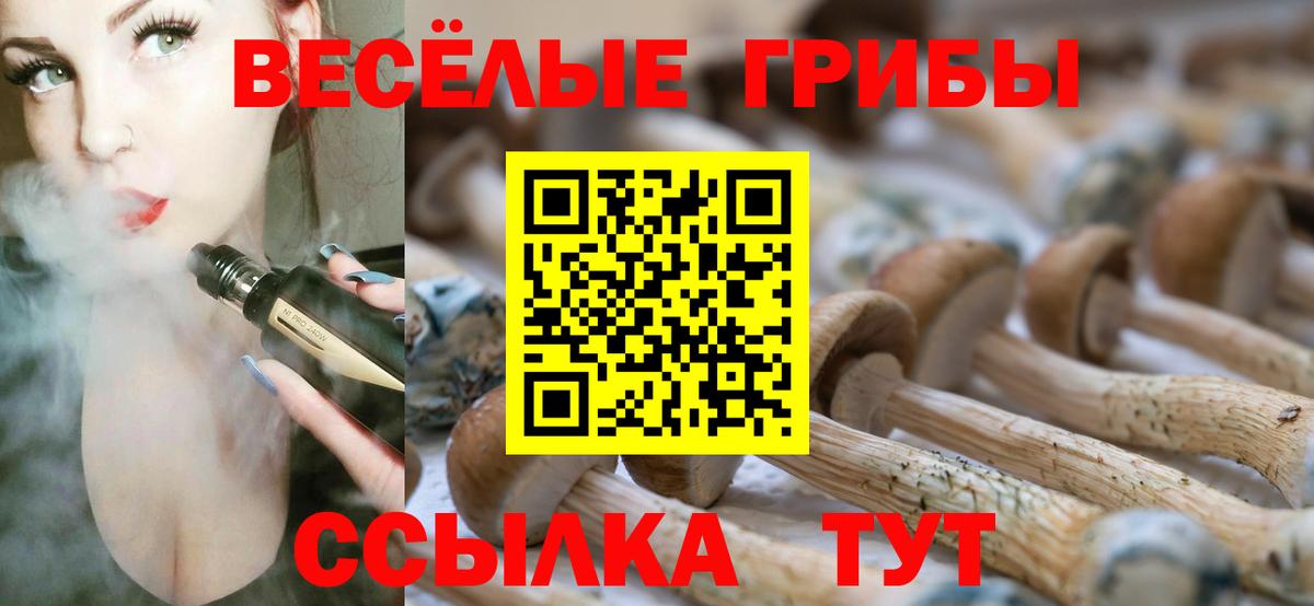 Псилоцибиновые грибы Psilocybe Первоуральск